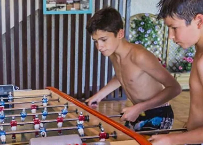 5 Pers. Avec Terrasse Face Au - Api-1-52-600 Parque de Campismo Salles-Curan